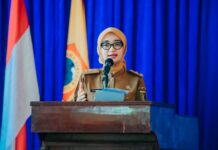 Hadiri HUT Ke-64 PWRI, Wagub Jihan Ajak Purna Tugas Terus Berkontribusi untuk Lampung